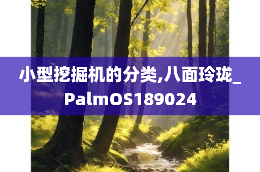 小型挖掘机的分类,八面玲珑_PalmOS189024