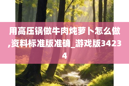 用高压锅做牛肉炖萝卜怎么做,资料标准版准确_游戏版34234