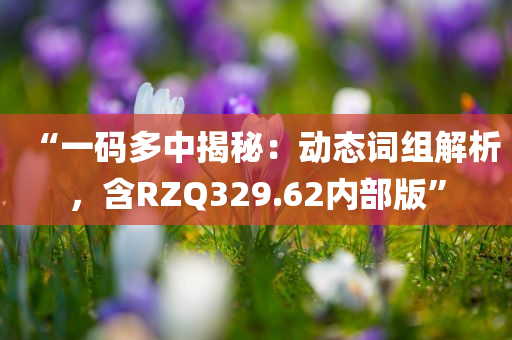 “一码多中揭秘：动态词组解析，含RZQ329.62内部版”