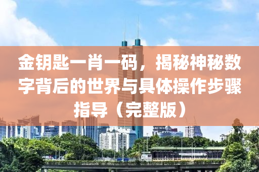 金钥匙一肖一码，揭秘神秘数字背后的世界与具体操作步骤指导（完整版）