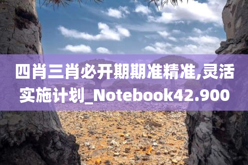 四肖三肖必开期期准精准,灵活实施计划_Notebook42.900