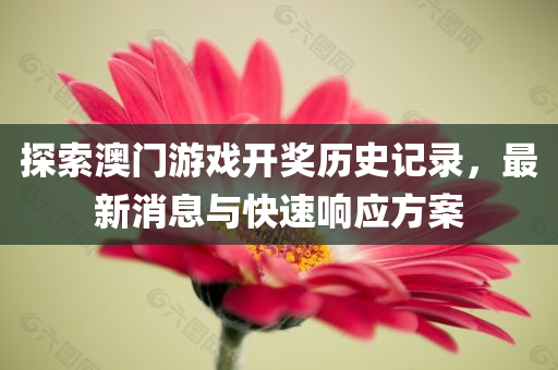 探索澳门游戏开奖历史记录，最新消息与快速响应方案