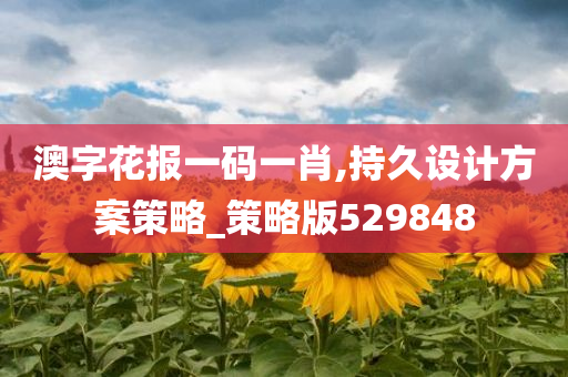 澳字花报一码一肖,持久设计方案策略_策略版529848