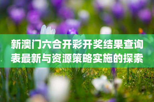 新澳门六合开彩开奖结果查询表最新与资源策略实施的探索