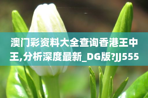 澳门彩资料大全查询香港王中王,分析深度最新_DG版?JJ555