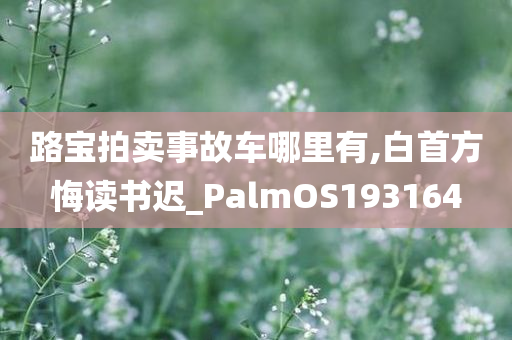 路宝拍卖事故车哪里有,白首方悔读书迟_PalmOS193164