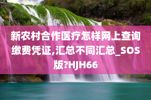 新农村合作医疗怎样网上查询缴费凭证,汇总不同汇总_SOS版?HJH66