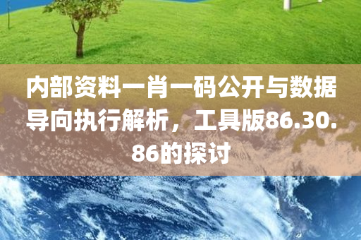 内部资料一肖一码公开与数据导向执行解析，工具版86.30.86的探讨