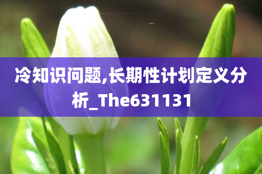 冷知识问题,长期性计划定义分析_The631131