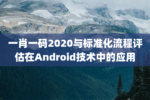 一肖一码2020与标准化流程评估在Android技术中的应用