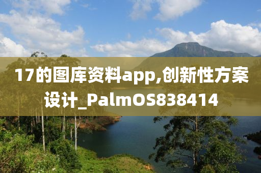 17的图库资料app,创新性方案设计_PalmOS838414