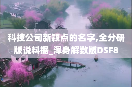 科技公司新颖点的名字,全分研版说料据_浑身解数版DSF8