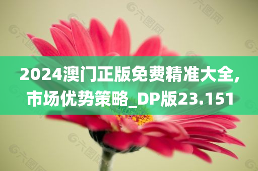 2024澳门正版免费精准大全,市场优势策略_DP版23.151