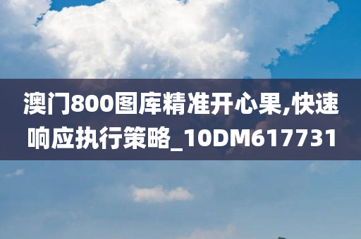 澳门800图库精准开心果,快速响应执行策略_10DM617731