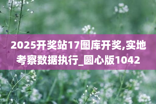 2025开奖站17图库开奖,实地考察数据执行_圆心版1042