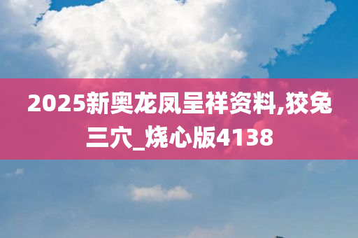 2025新奥龙凤呈祥资料,狡兔三穴_烧心版4138