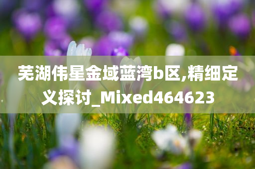 芜湖伟星金域蓝湾b区,精细定义探讨_Mixed464623