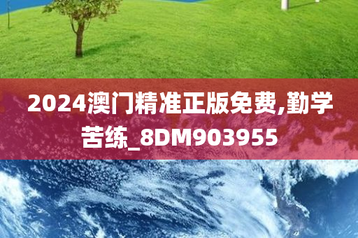 2024澳门精准正版免费,勤学苦练_8DM903955