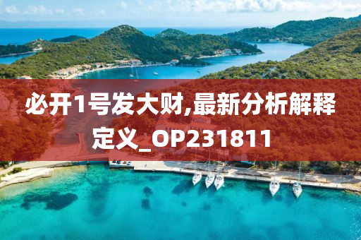 必开1号发大财,最新分析解释定义_OP231811