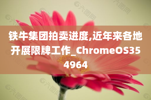 铁牛集团拍卖进度,近年来各地开展限牌工作_ChromeOS354964