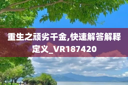 重生之顽劣千金,快速解答解释定义_VR187420