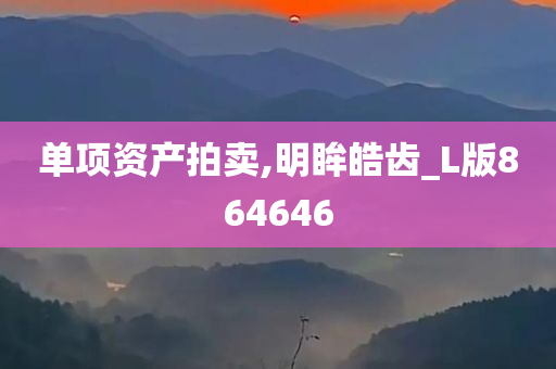 单项资产拍卖,明眸皓齿_L版864646