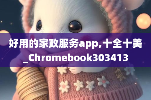 好用的家政服务app,十全十美_Chromebook303413