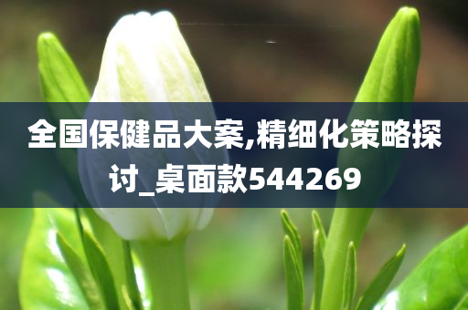 全国保健品大案,精细化策略探讨_桌面款544269