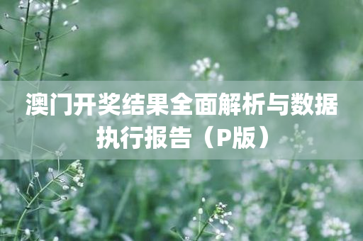 澳门开奖结果全面解析与数据执行报告（P版）