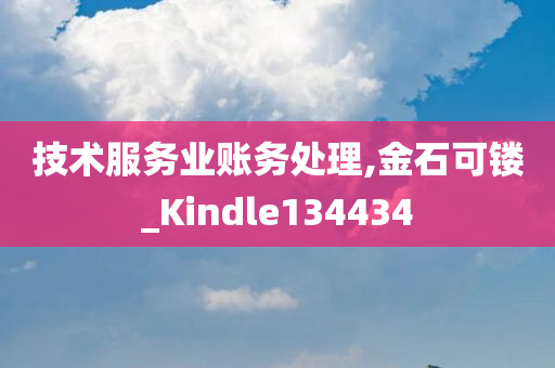 技术服务业账务处理,金石可镂_Kindle134434