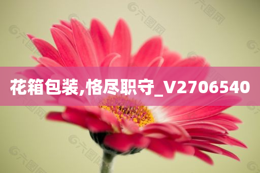 花箱包装,恪尽职守_V2706540