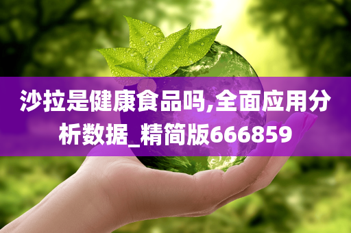 沙拉是健康食品吗,全面应用分析数据_精简版666859