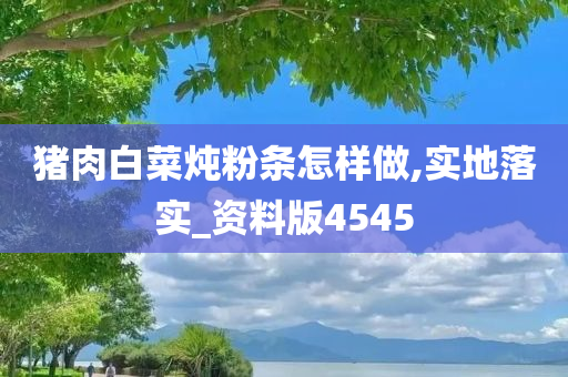 猪肉白菜炖粉条怎样做,实地落实_资料版4545