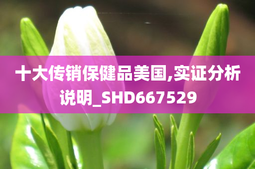 十大传销保健品美国,实证分析说明_SHD667529