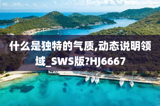 什么是独特的气质,动态说明领域_SWS版?HJ6667