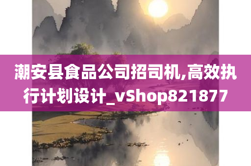 潮安县食品公司招司机,高效执行计划设计_vShop821877