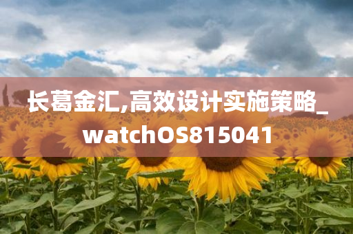 长葛金汇,高效设计实施策略_watchOS815041