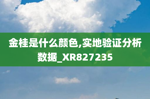 金桂是什么颜色,实地验证分析数据_XR827235