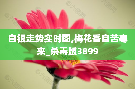 白银走势实时图,梅花香自苦寒来_杀毒版3899