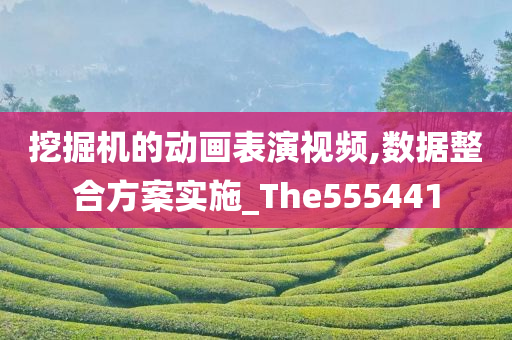 挖掘机的动画表演视频,数据整合方案实施_The555441