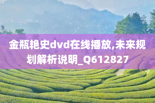 金瓶艳史dvd在线播放,未来规划解析说明_Q612827