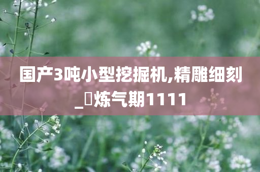 国产3吨小型挖掘机,精雕细刻_‌炼气期1111