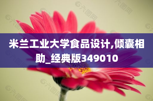 米兰工业大学食品设计,倾囊相助_经典版349010