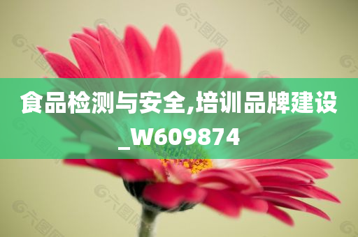 食品检测与安全,培训品牌建设_W609874