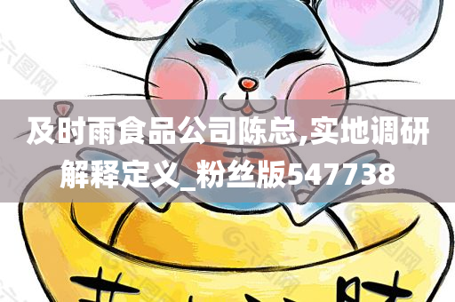 及时雨食品公司陈总,实地调研解释定义_粉丝版547738