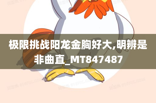 极限挑战阳龙金胸好大,明辨是非曲直_MT847487