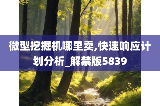 微型挖掘机哪里卖,快速响应计划分析_解禁版5839