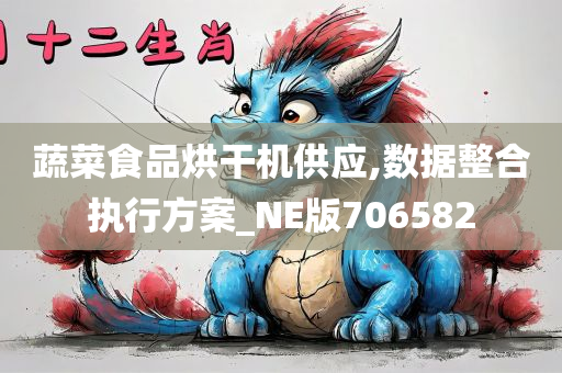 蔬菜食品烘干机供应,数据整合执行方案_NE版706582