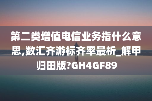 第二类增值电信业务指什么意思,数汇齐游标齐率最析_解甲归田版?GH4GF89