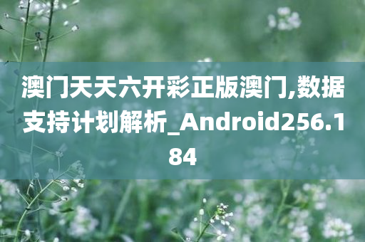 澳门天天六开彩正版澳门,数据支持计划解析_Android256.184